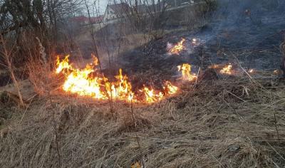 Свердловчанам напоминают об ответственности за нарушение правил пожарной безопасности при сжигании сухой растительности