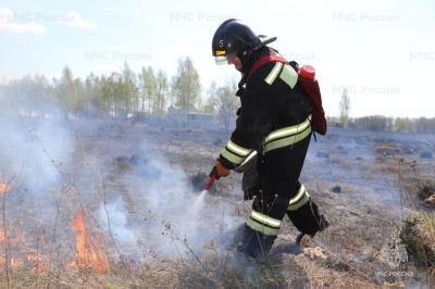 Пал сухой травы вреден